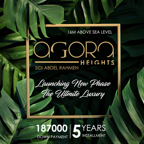 Brand identity and logo design for Agora Heights real estate project by our agency.